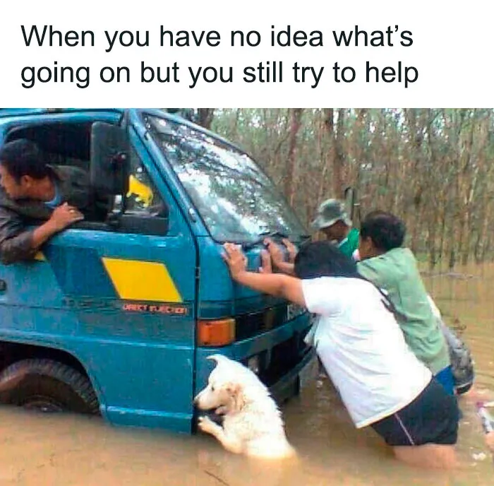 50 Adorable Dog Memes To Warm Your Heart And Make You Laugh