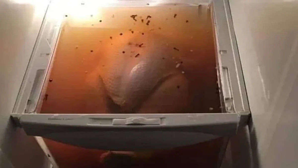 45 Hilariously Unhinged “Dude Fridges” (New Pics)