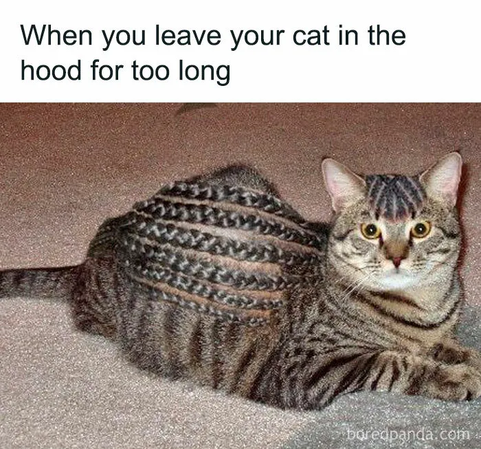Funny-Memes-Besthoodhumor