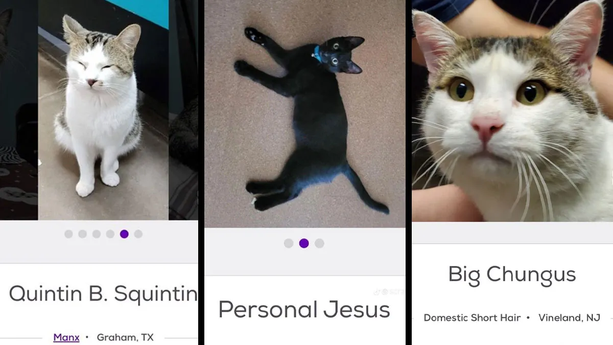 15 nombres de mascotas tan buenos que merecen un premio