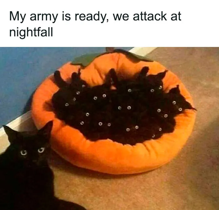 50 Goth Memes That Prove Humor Can Be As Dark As Your Wardrobe