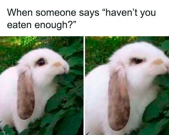 50 Goth Memes That Prove Humor Can Be As Dark As Your Wardrobe