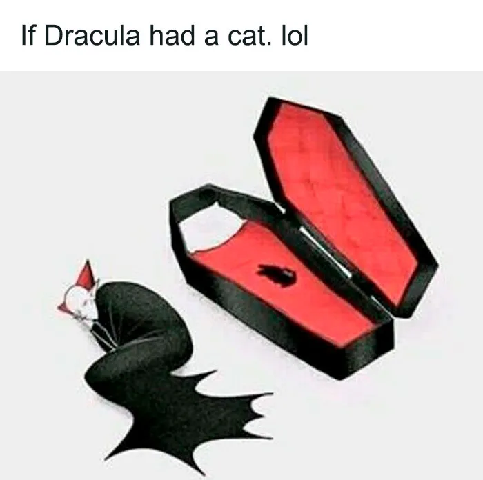 50 Goth Memes That Prove Humor Can Be As Dark As Your Wardrobe