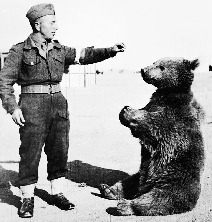 If You Like Learning The Bizarre Facts From History, Here Are 45 Really Unexpected Ones
