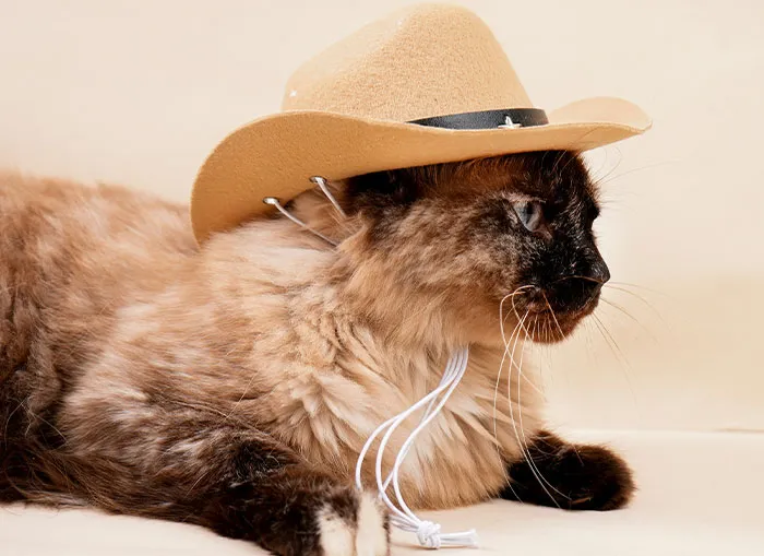 If You Like Learning The Bizarre Facts From History, Here Are 45 Really Unexpected Ones