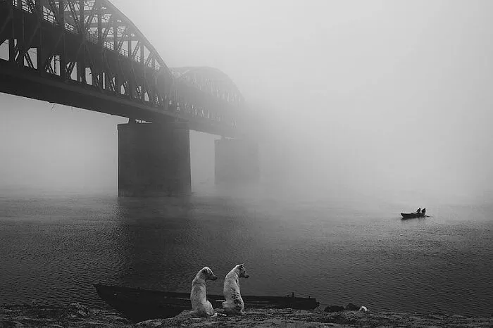 30 fotos tiernas y divertidas de animales que pueden alegrarte el día en un instante