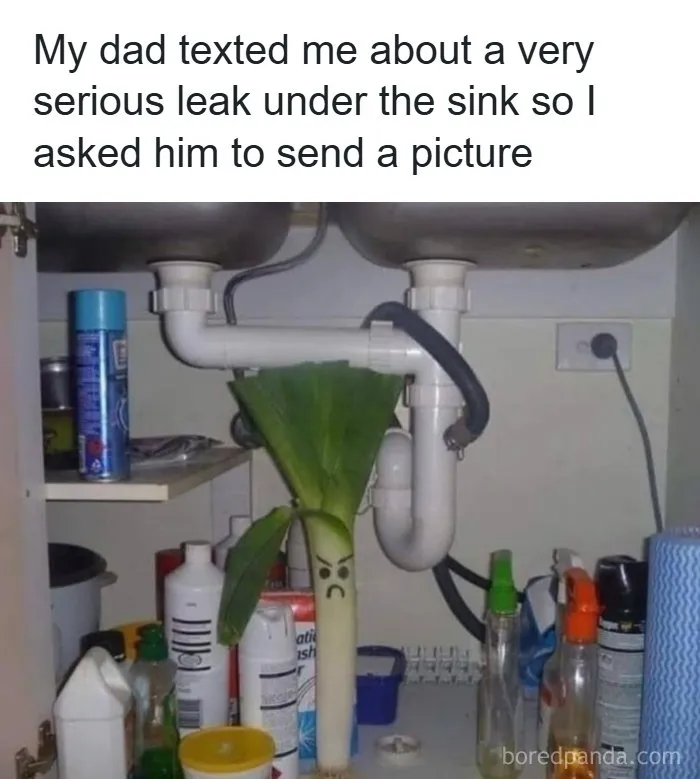118 Funny Dad Jokes That Might Bring Some Joy To Your Day (New Pics)