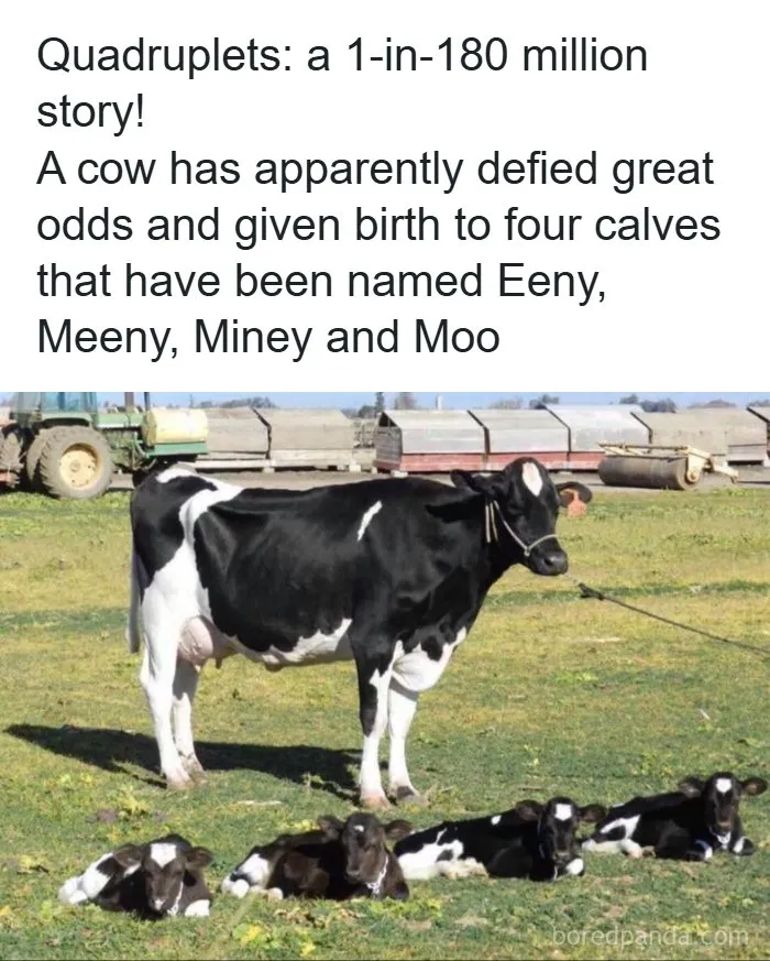 118 Funny Dad Jokes That Might Bring Some Joy To Your Day (New Pics)