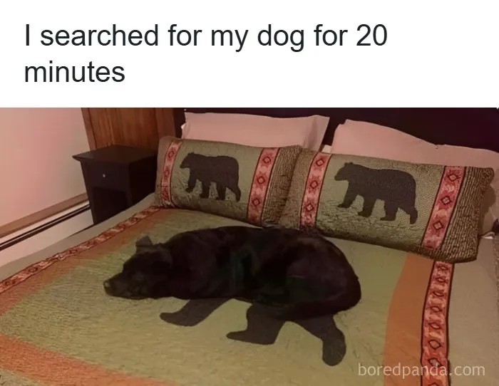 102 Funny Pics That Perfectly Encapsulate Slavic Culture (New Pics)