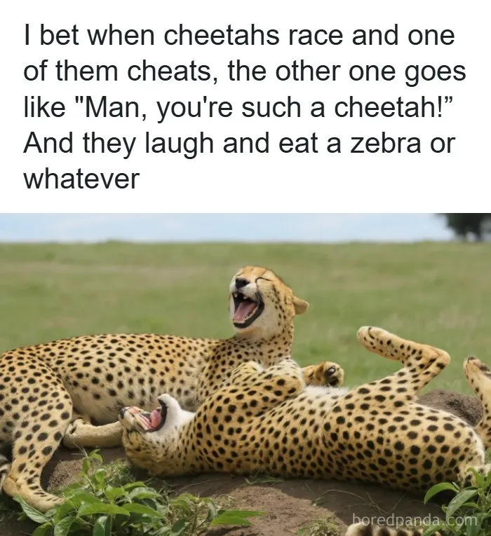 118 Funny Dad Jokes That Might Bring Some Joy To Your Day (New Pics)