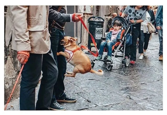 30 fotos tiernas y divertidas de animales que pueden alegrarte el día en un instante