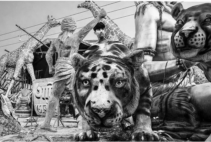 Figuras de animales incluidas jirafas y tigres en un taller, foto divertida y entrañable para alegrar el día.