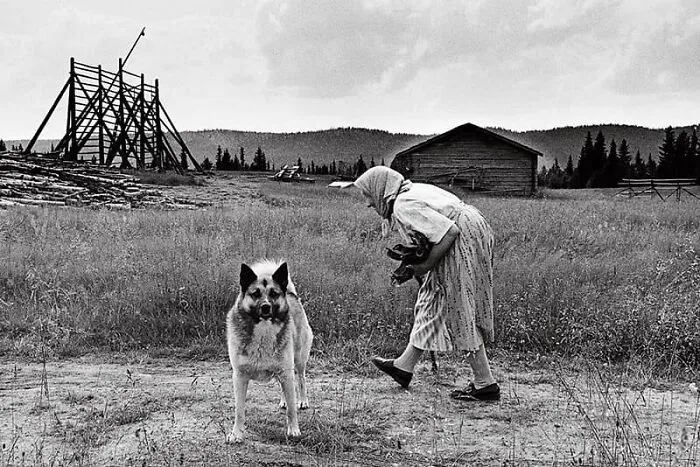 30 fotos tiernas y divertidas de animales que pueden alegrarte el día en un instante