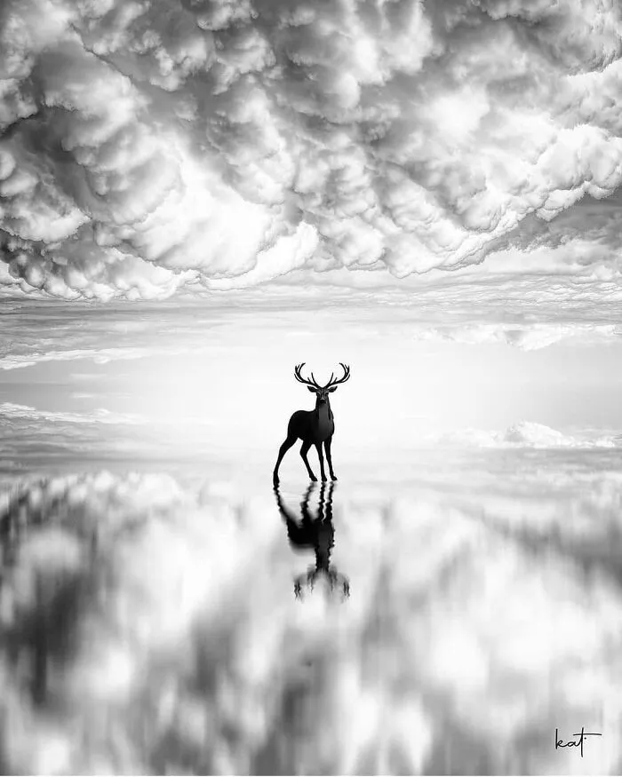 30 fotos tiernas y divertidas de animales que pueden alegrarte el día en un instante