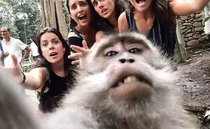 30 Heartwarming And Funny Animal Photos That Might Instantly Brighten Your Day