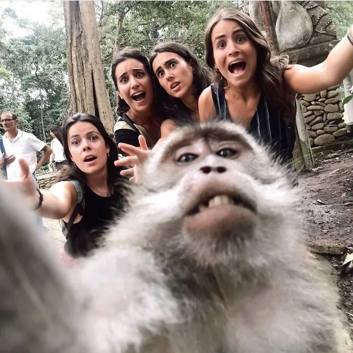 30 fotos tiernas y divertidas de animales que pueden alegrarte el día en un instante