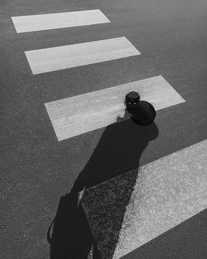 The Artist Captures Silence And Simplicity In Empty Spaces (49 Pics)