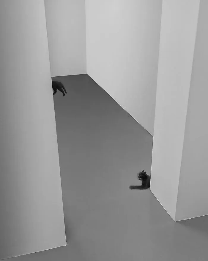 The Artist Captures Silence And Simplicity In Empty Spaces (49 Pics)