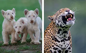 40 Stunning Moments From Nature I Captured Without Expensive Equipment