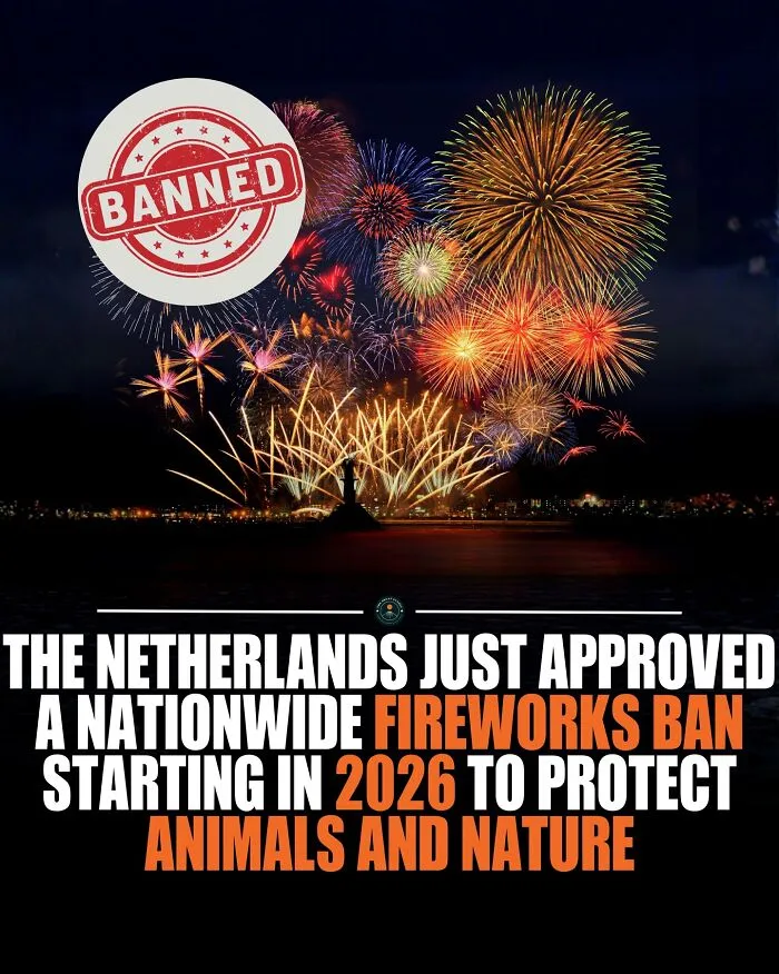 This Historic Decision Prioritizes The Well-Being Of Animals And The Protection Of Nature Over Tradition
