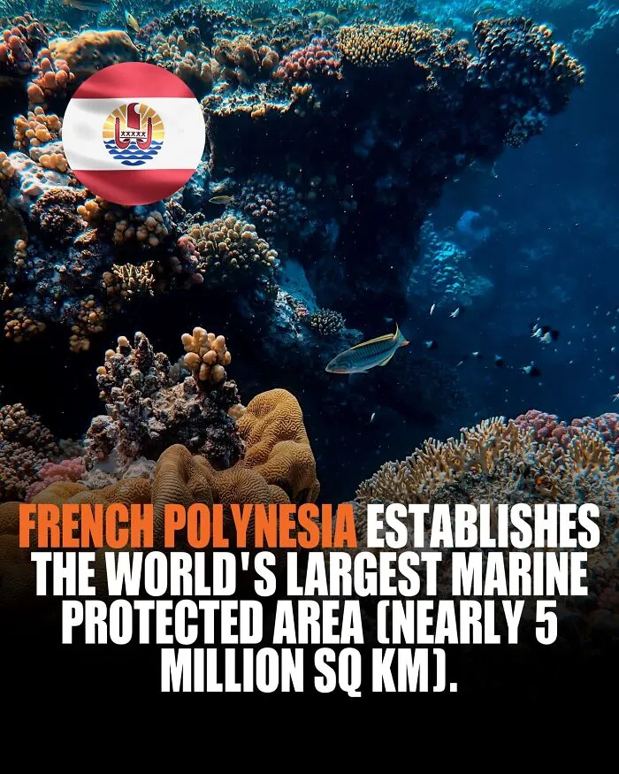 A Sanctuary Larger Than The EU Now Protects Whales, Sharks, And Reefs From All Industrial Mining And Fishing