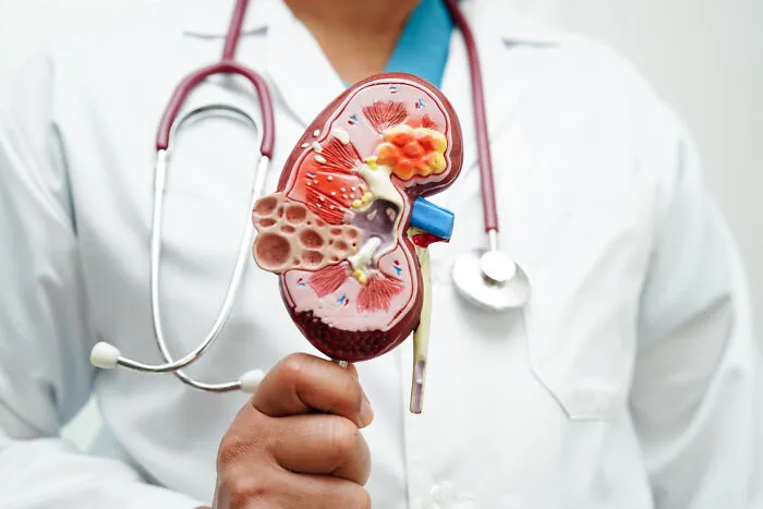34 Fascinating Facts About The Human Body That Not Many Of Us Are Actually Aware Of