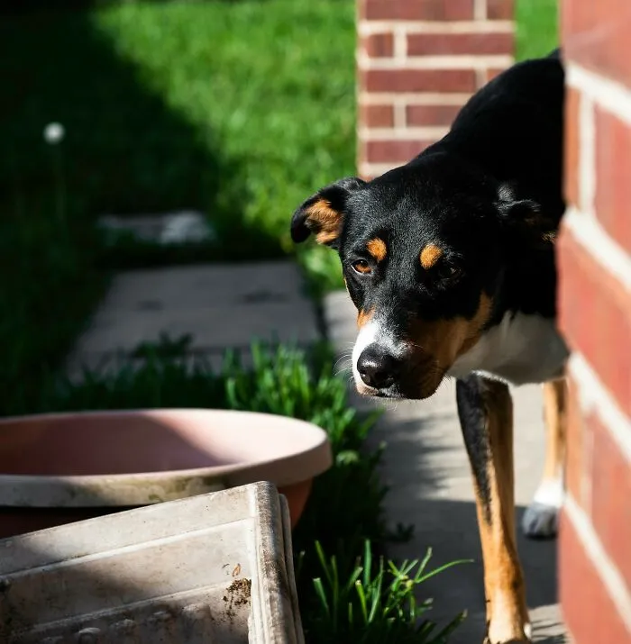 30 Truths About Delivering Mail That Might Surprise You
