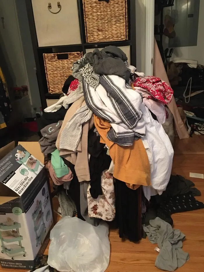 "Women Are Cats In Disguise": 69 Men Share What They Learned About Women After Living With One