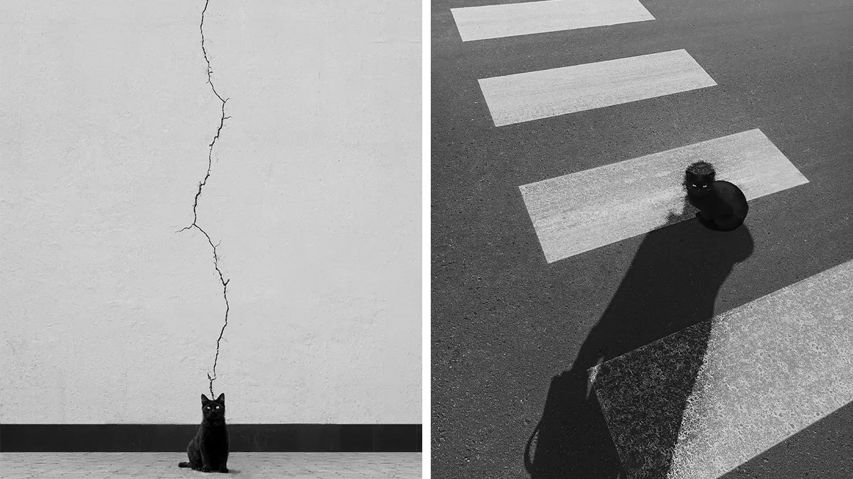 The Artist Captures Silence And Simplicity In Empty Spaces (49 Pics)