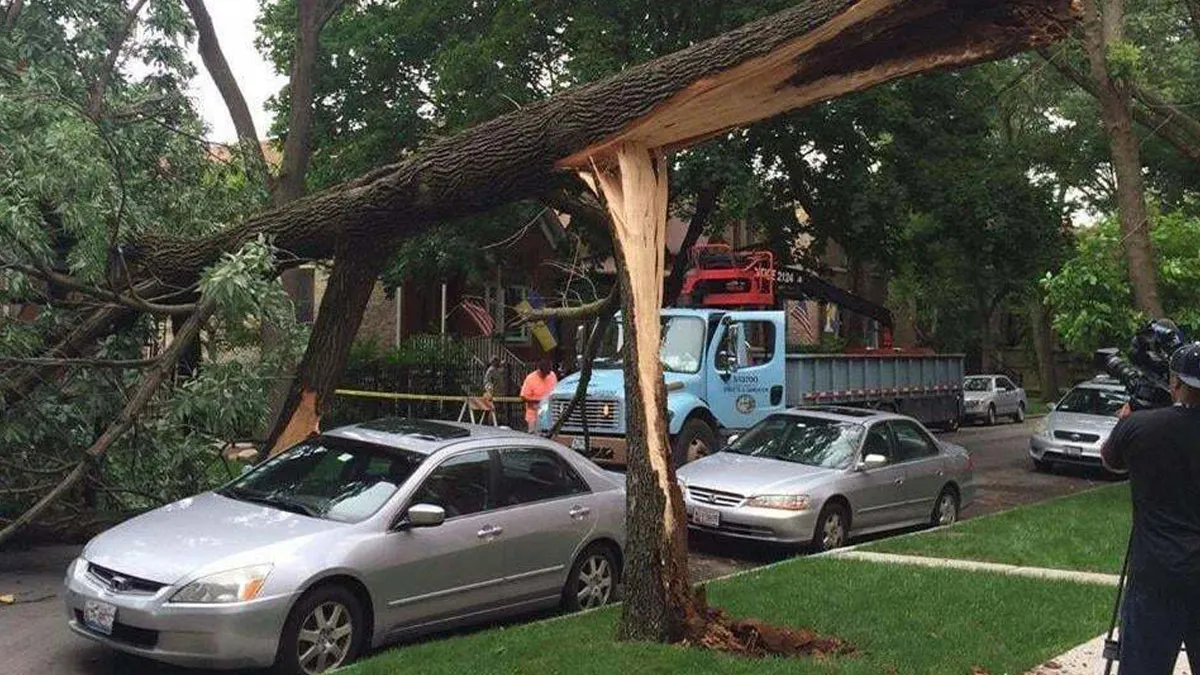 52 Photos That Show Things That Weren’t Supposed To Happen, According To The Odds (New Pics)