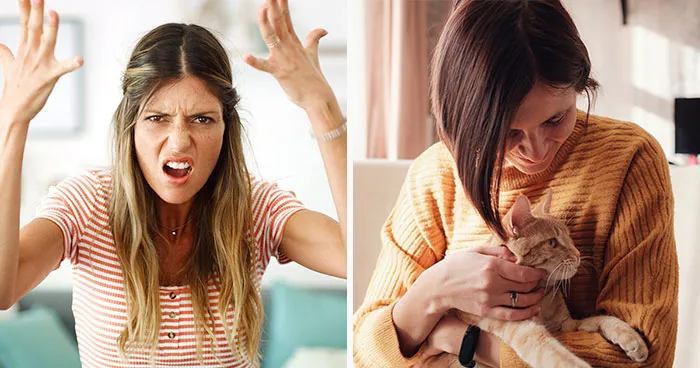 "He's Had This Name For A Decade?": Sister Wants To Name Her Son, Freaks Out Over Family Cat