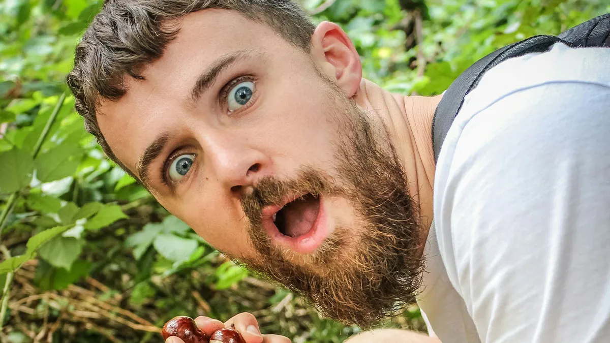 34 Creepy Things Folks Have Found In Forests