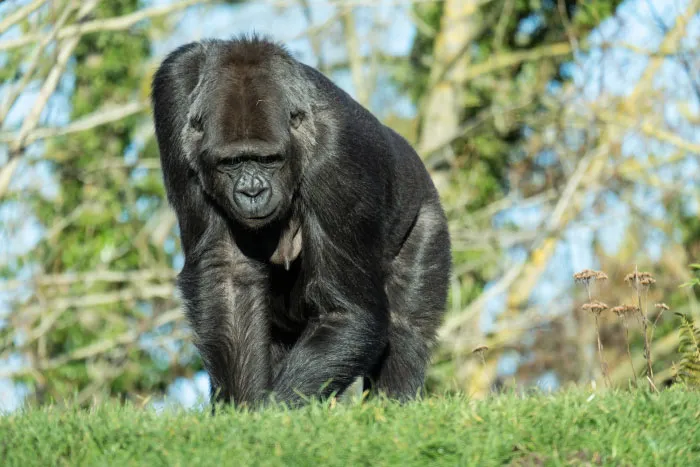 55 People Recall The Most Traumatizing Moments They’ve Ever Lived Through