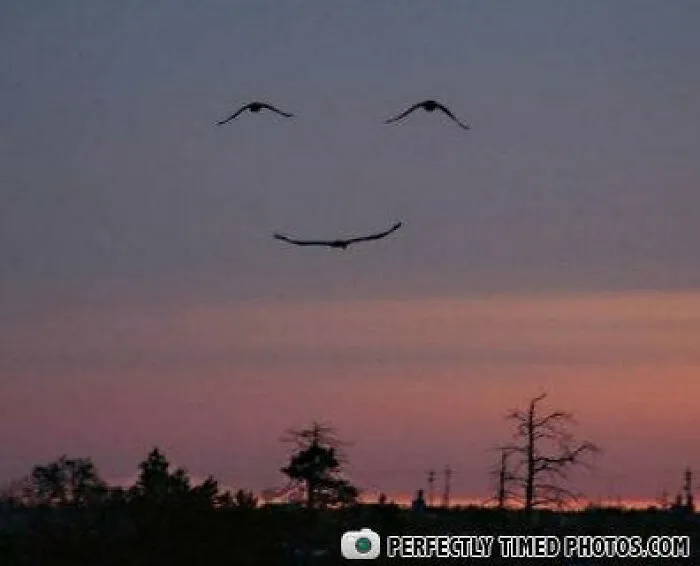 "Perfectly Timed Photos": 50 Times People Snapped Photographs Just At The Right Moment