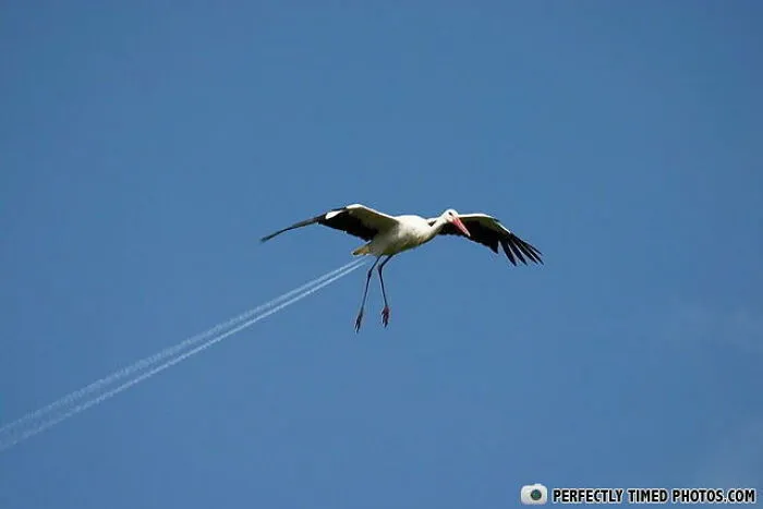 "Perfectly Timed Photos": 50 Times People Snapped Photographs Just At The Right Moment