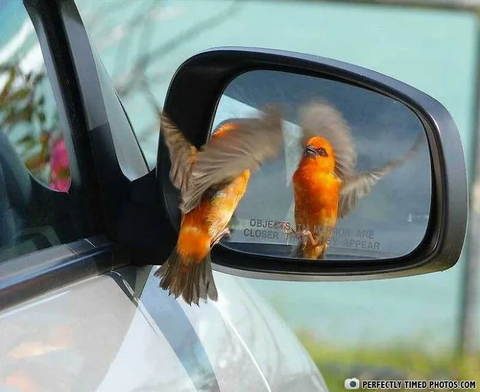 "Perfectly Timed Photos": 50 Times People Snapped Photographs Just At The Right Moment