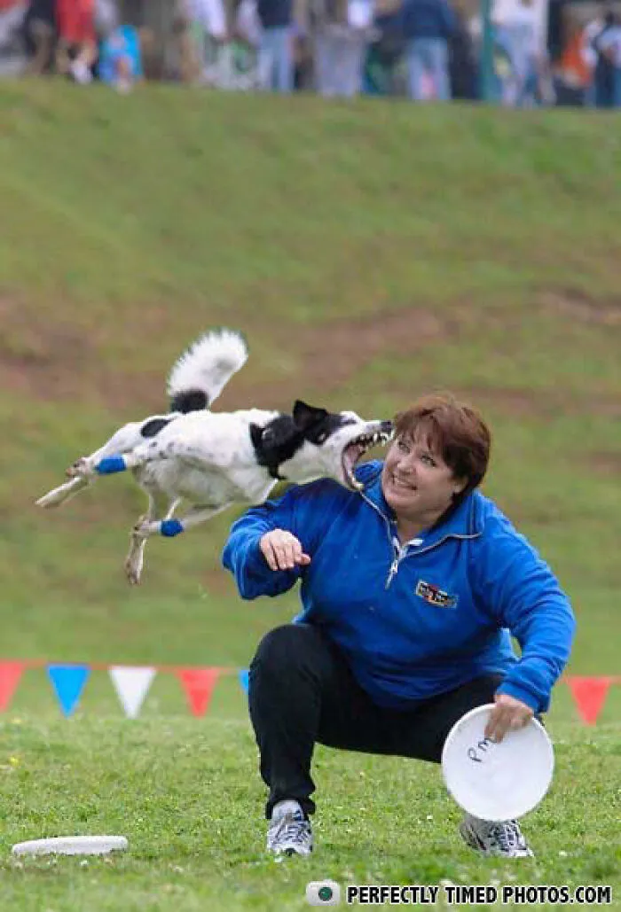 Dog in mid-air about to catch frisbee near smiling woman, a perfectly timed photo capturing action and excitement outdoors.