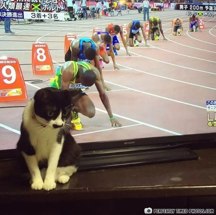 "Perfectly Timed Photos": 50 Times People Snapped Photographs Just At The Right Moment