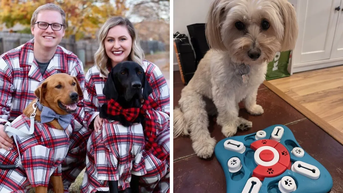 If You identify As A Crazy Pet Person, These 27 Gifts Should Be Under Your Tree 