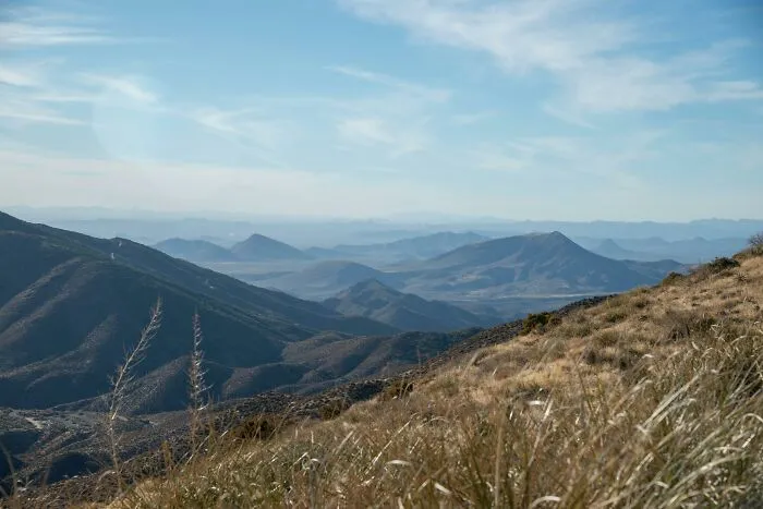 Americans Share 43 Things They Believe Their Country Is Doing Right
