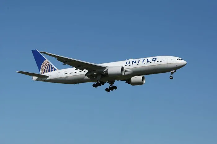 "What's The Craziest Thing You've Witnessed At An Airport?" (42 Wild And Unbelievable Answers)
