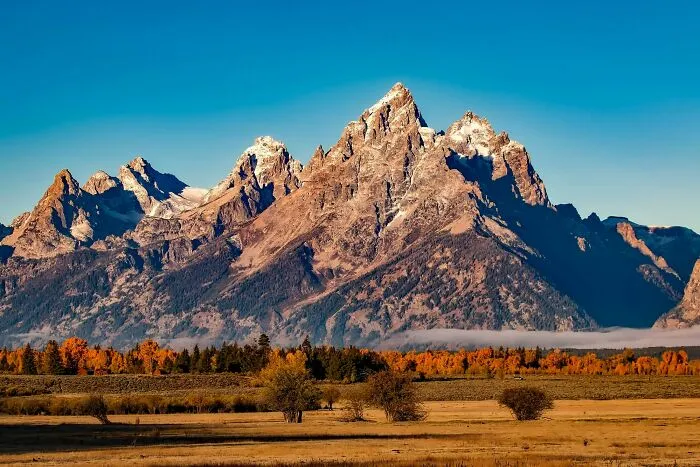 Americans Share 43 Things They Believe Their Country Is Doing Right