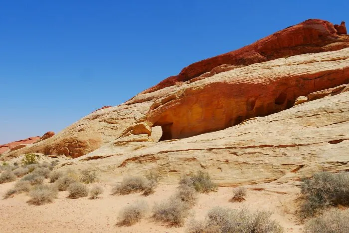 Americans Share 43 Things They Believe Their Country Is Doing Right