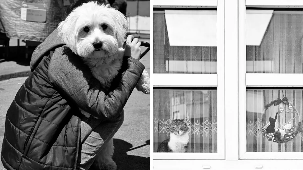 The Marvels Of Daily Life Captured In 45 New Stunning Photos By Mary Crnkovic Pilas