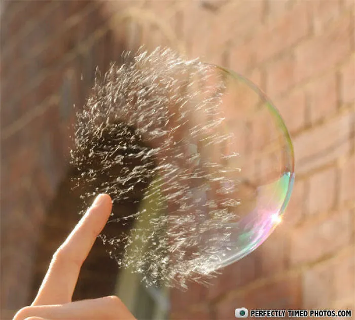 "Perfectly Timed Photos": 50 Times People Snapped Photographs Just At The Right Moment
