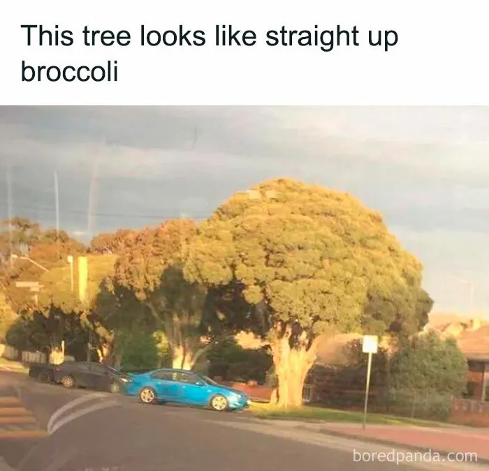 “This Isn’t Even Well-Done, It’s Congratulations”: 50 Hilariously Delicious Food Memes