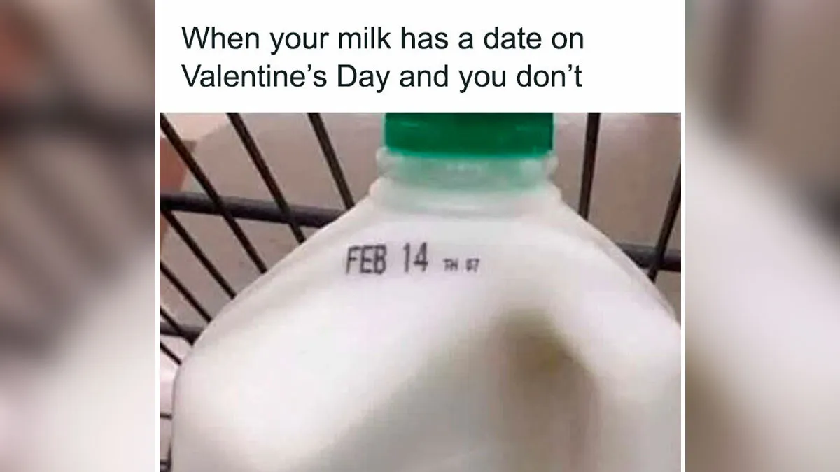 18 memes de comida irresistiblemente divertidos