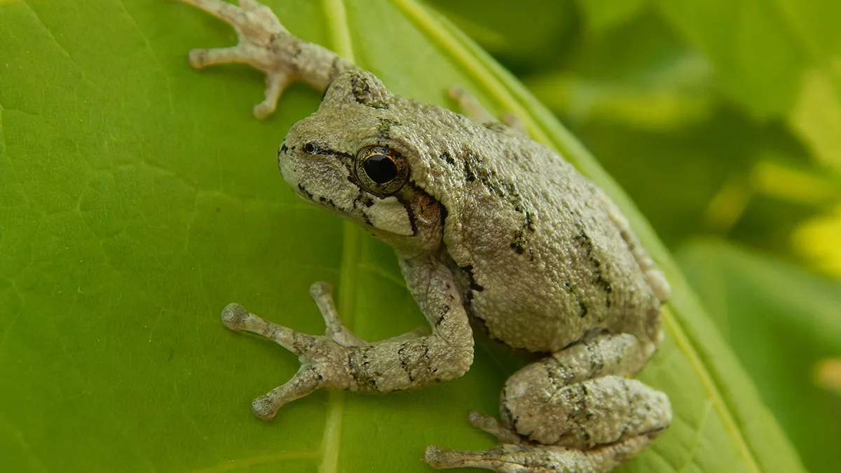 44 Truly Random Facts That Are Still Better Than The News