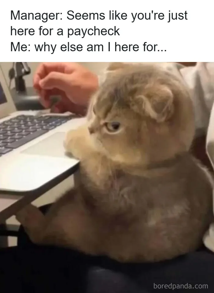 Laugh Away Life's Woes With 110 Memes That You Might Relate To (New Pics)