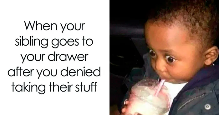 50 Funny Memes That Don't Need Context If You Have Siblings